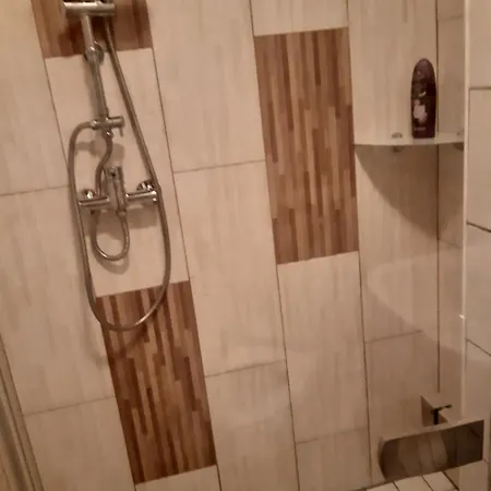 Guest house Landgasthof Negrean 3*