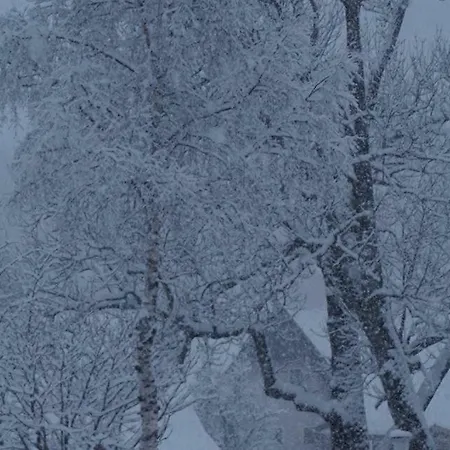 Landgasthof Negrean Vendégház Modriach