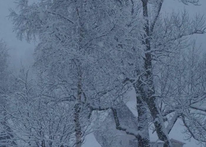 Landgasthof Negrean Pensionat Modriach